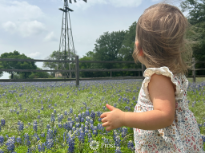 Toddlers, Bonnets & Windmills