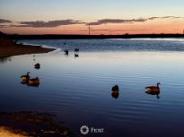 Indian Cliffs Ranch Lake