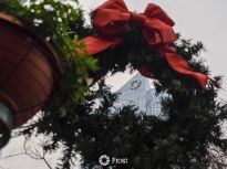 Christmas Wreath 