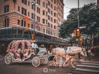 Horse Drawn Carriage