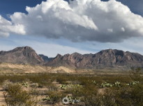 Chisos Views