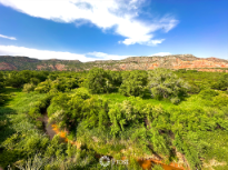Vibrant Canyon