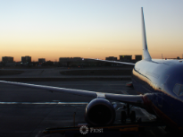 Morning Flight