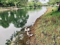 River Road Park
