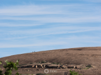 Enchanted Rock