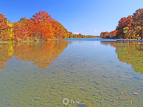 Fall Day at Guadalupe River