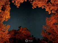 Night Sky Under the Campfire