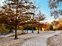 Hill Country Fall Has Arrived