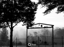 Foggy Sunrise in East Texas