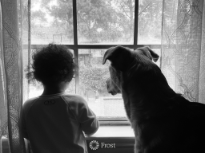 A Girl And Her Dog