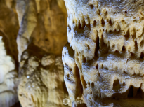 Close Up Of Millions Of Years