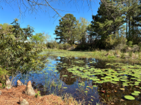 Texas Freshwater Fish Hatchery