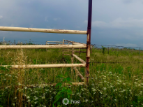 Abandoned Cattle Pasture