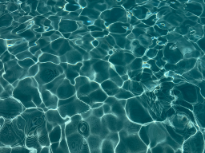 Pool Side 