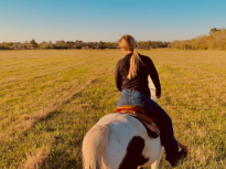 Hay Field Summer Evenings 