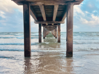 Under the Pier
