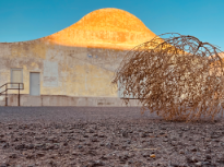 Morning Walk in Marfa