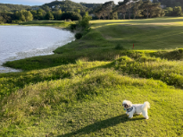 Texas Hill Country
