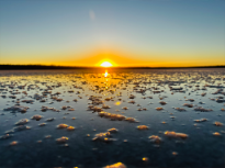 Sal Del Rey at Sunset