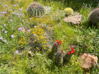 Spring Day at the Trail