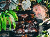 Cinematic Waterfall