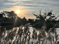 Sunrise