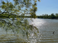 Spring at Camp McAllen