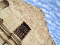 Springtime at the Alamo