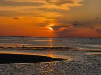 Sunset on the Bay