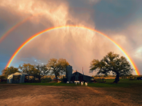 Center of the Rainbow