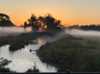 Floating Fog Over Peach Creek