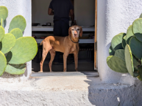 Greeter at the Soap Store