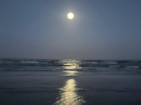 Shining Moon