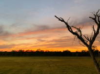 Sunset by the Little League Fields