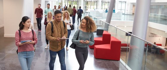Image of students walking