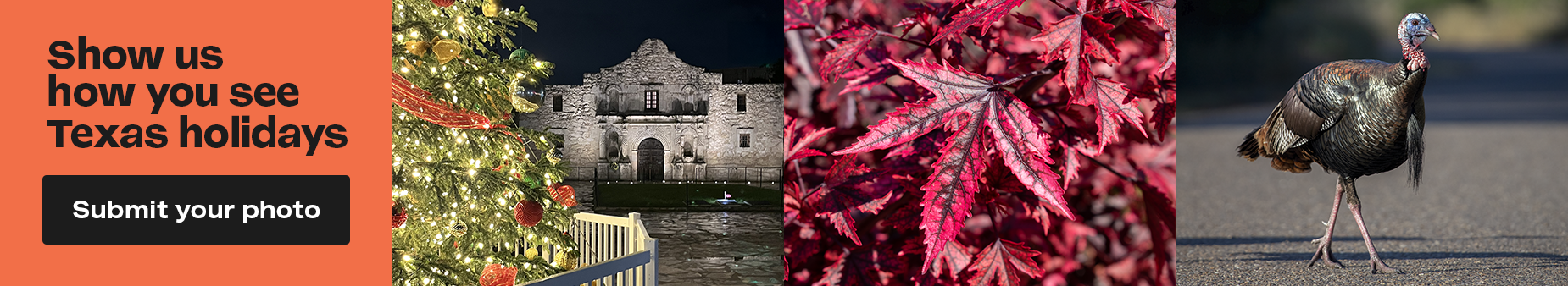 Submit your Texas holidays photos