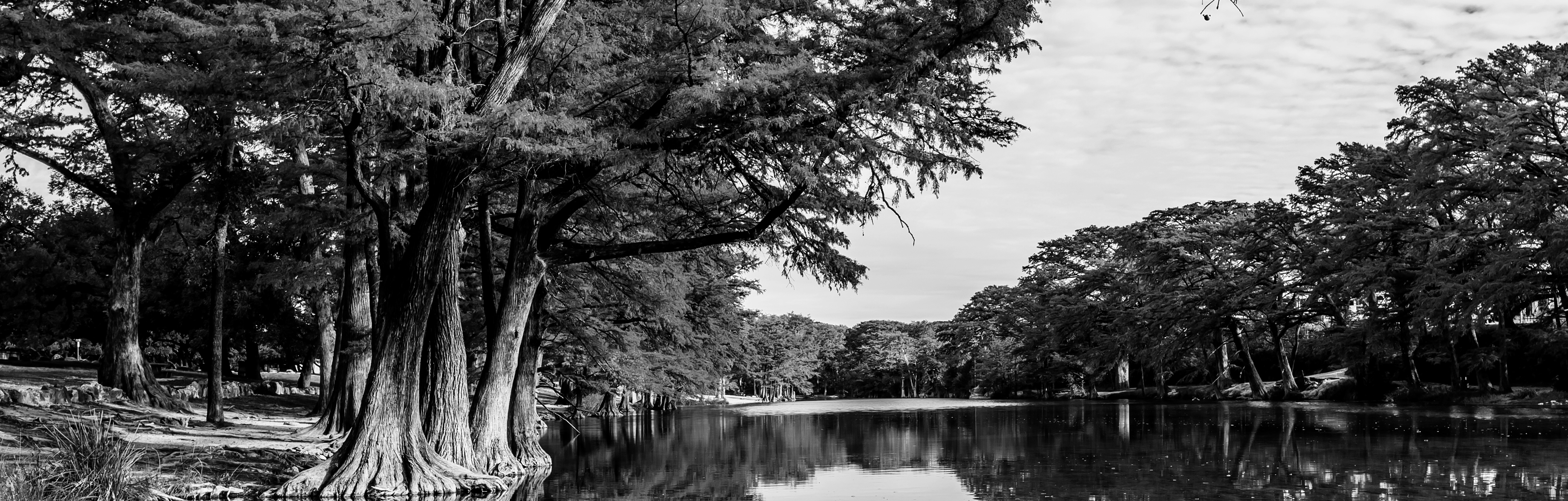 Photo of river and trees