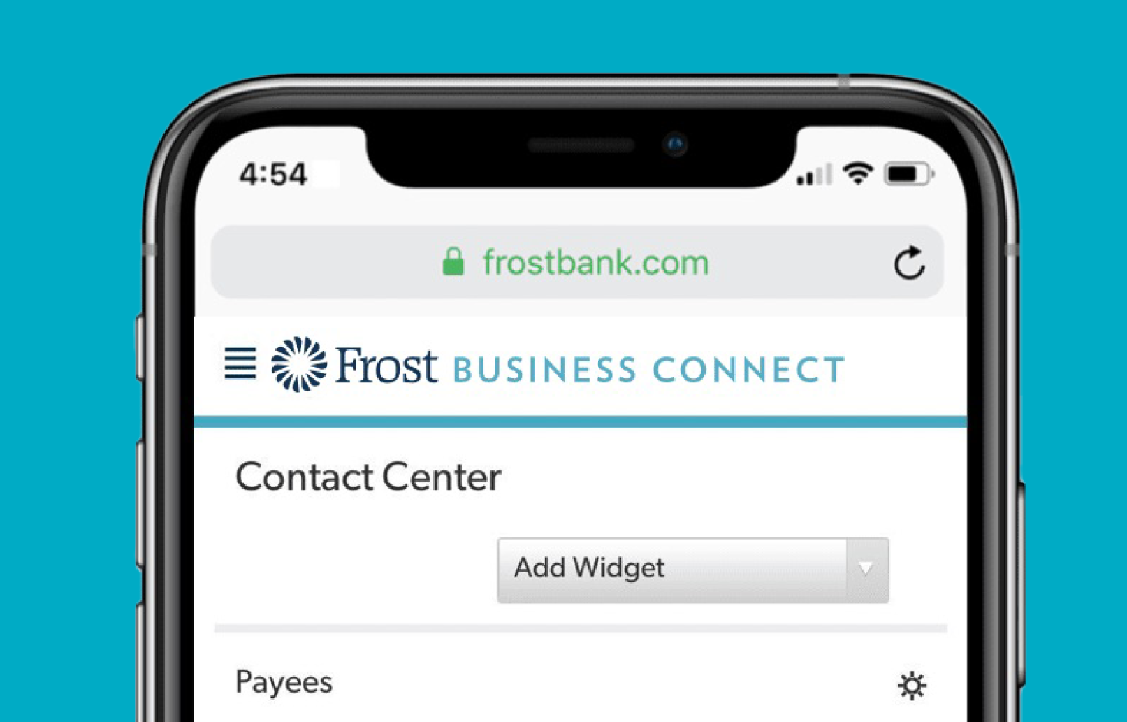 Image of Frost Business Connect on smart phone