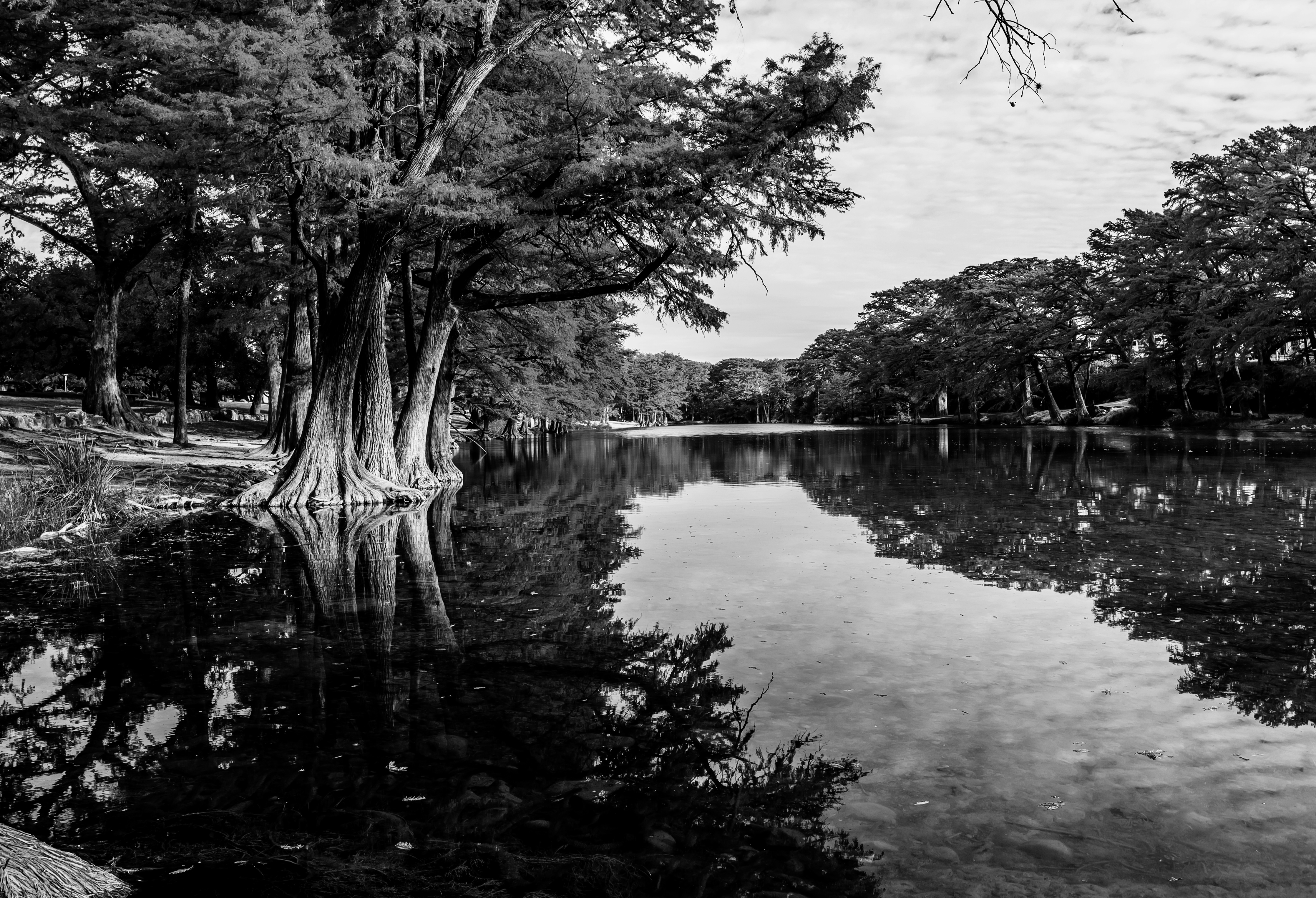 Photo of lake and trees