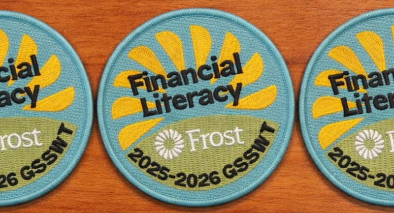 Image of girl scout patches