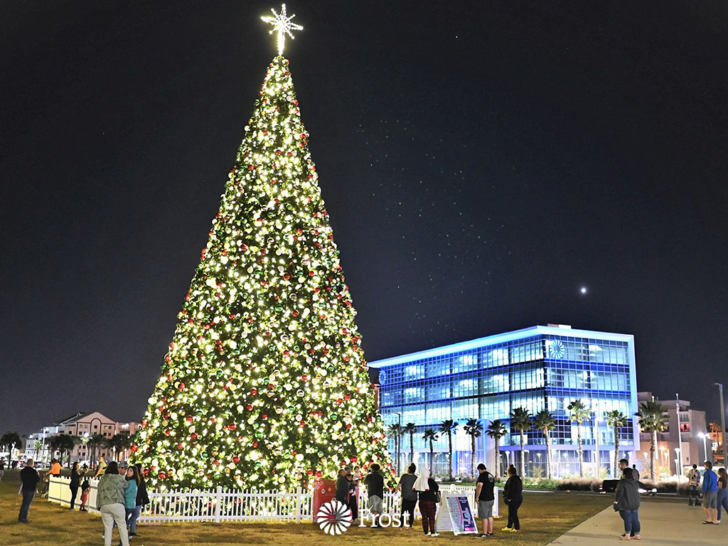 Christmas Tree on the Bay