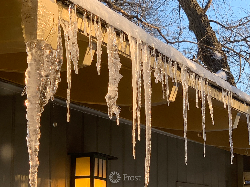 First Day of Winter Storm