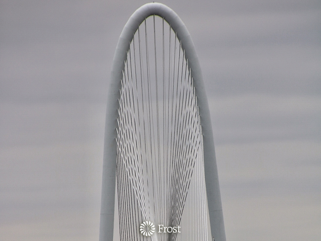 Ronald Kirk Bridge