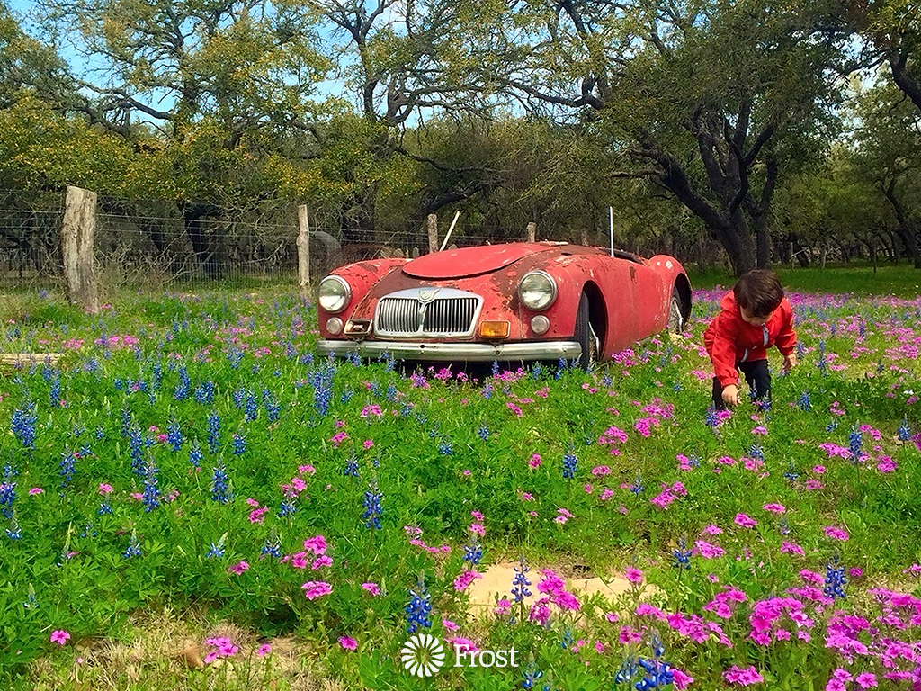 Springtime Flower Picking