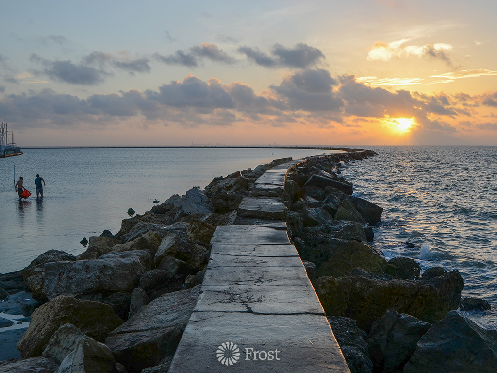 An Early Morning Along the Bay