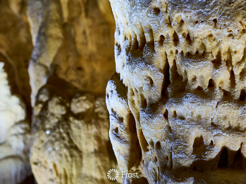 Close Up Of Millions Of Years