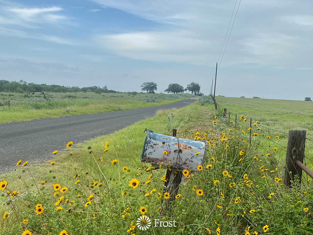 Rural Delivery