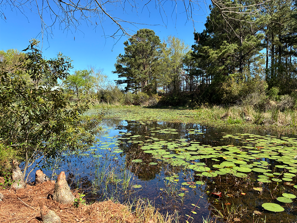 Texas Freshwater Fish Hatchery