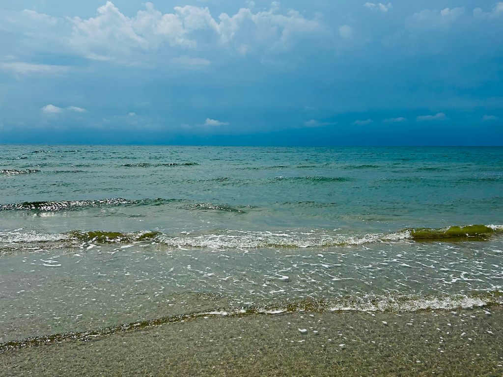 Clear Water August Days