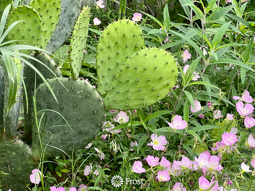 Love Is All Around Us